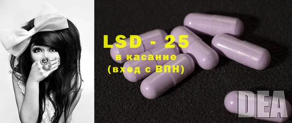индика Алексин