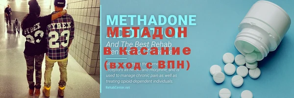 индика Алексин