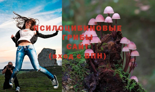 МДПВ Алексеевка
