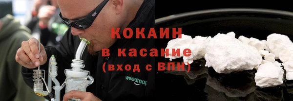 индика Алексин