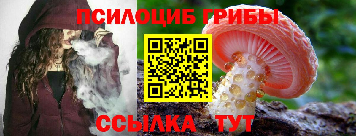 Псилоцибиновые грибы мухоморы  Вход с VPN  Богданович 
