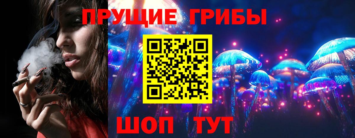 Псилоцибиновые грибы Cubensis Богданович
