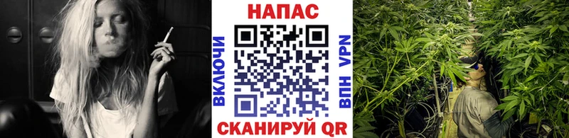 Каннабис индика  даркнет сайт  Богданович 